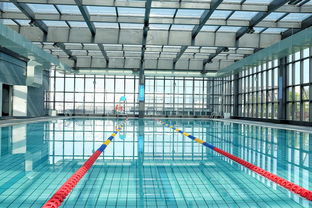 开云体育网站入口-世界游泳锦标赛中国运动员连续夺牌，世界游泳锦标赛中国运动员连续夺牌几次